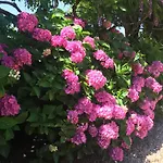 Domaine De La Banne *
