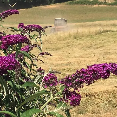 Domaine De La Banne Vila *